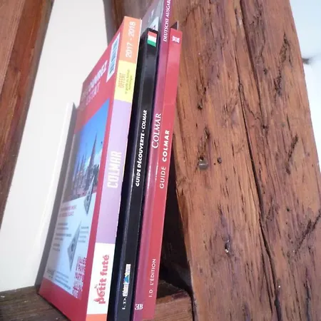 Soon - Zen 公寓 科尔马